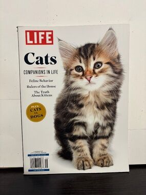 Cat Magazine
